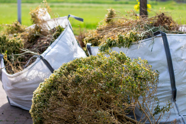 Best Shed Removal  in Saltillo, MS